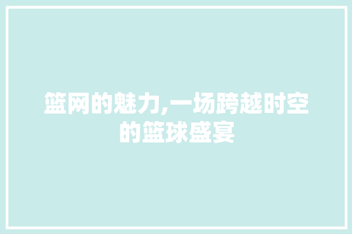 篮网的魅力,一场跨越时空的篮球盛宴