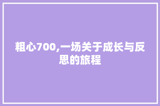 粗心700,一场关于成长与反思的旅程