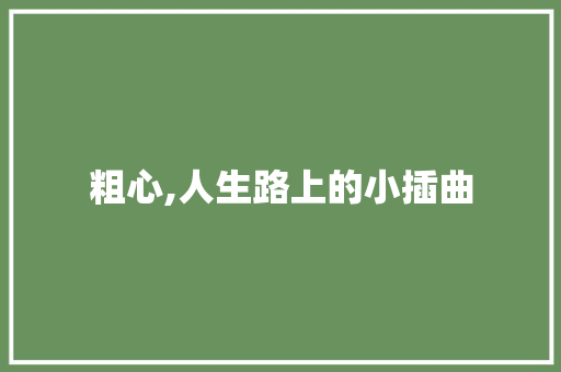 粗心,人生路上的小插曲 求职信范文