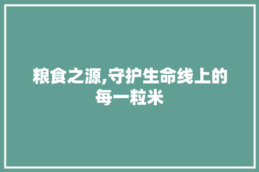 粮食之源,守护生命线上的每一粒米