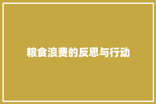 粮食浪费的反思与行动