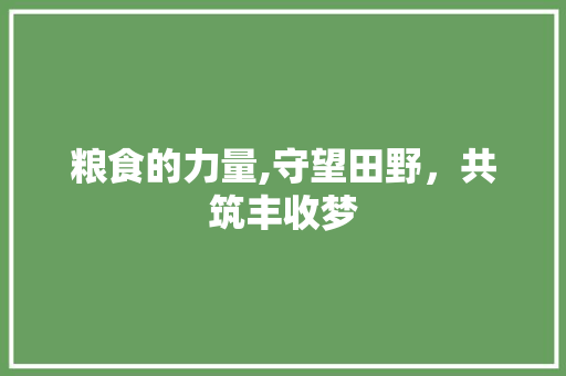 粮食的力量,守望田野，共筑丰收梦