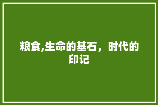 粮食,生命的基石，时代的印记