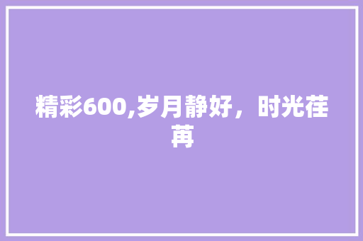 精彩600,岁月静好，时光荏苒