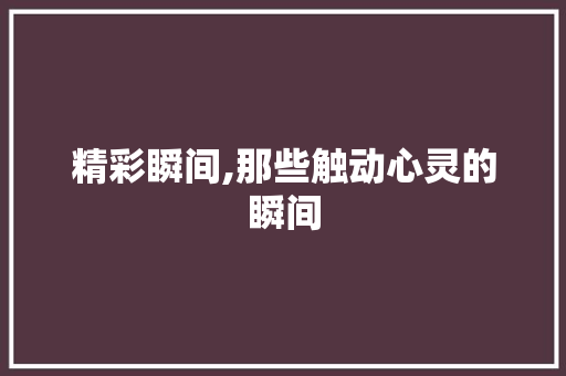 精彩瞬间,那些触动心灵的瞬间