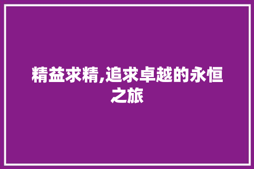 精益求精,追求卓越的永恒之旅 会议纪要范文