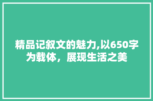 精品记叙文的魅力,以650字为载体，展现生活之美