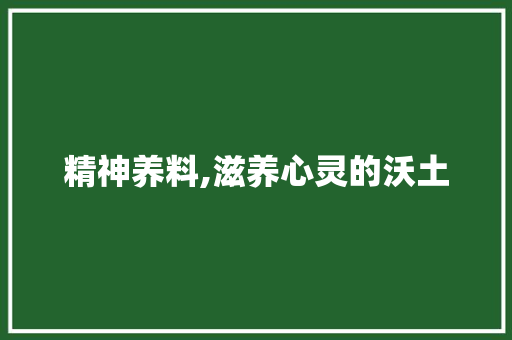 精神养料,滋养心灵的沃土