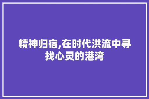 精神归宿,在时代洪流中寻找心灵的港湾