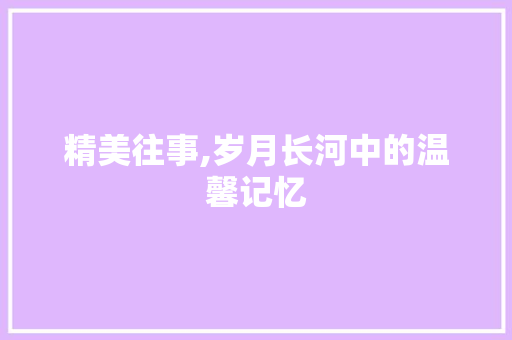 精美往事,岁月长河中的温馨记忆