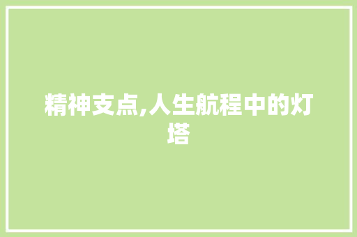 精神支点,人生航程中的灯塔 综述范文