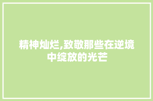 精神灿烂,致敬那些在逆境中绽放的光芒