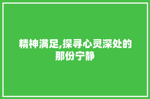 精神满足,探寻心灵深处的那份宁静