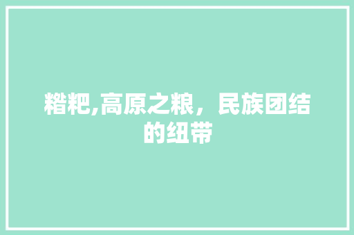 糌粑,高原之粮，民族团结的纽带 书信范文