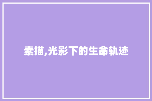 素描,光影下的生命轨迹