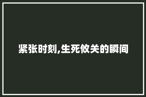 紧张时刻,生死攸关的瞬间