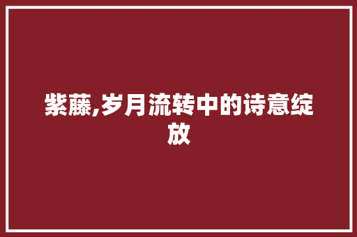 紫藤,岁月流转中的诗意绽放