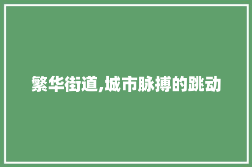 繁华街道,城市脉搏的跳动