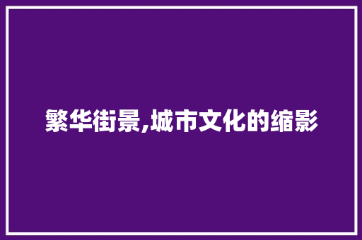 繁华街景,城市文化的缩影