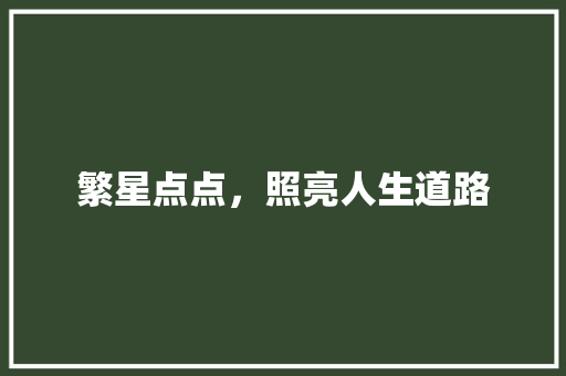 繁星点点，照亮人生道路