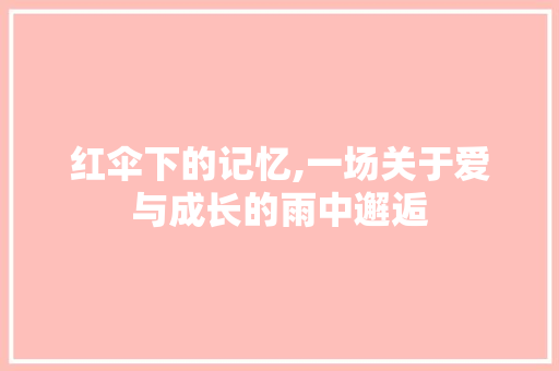 红伞下的记忆,一场关于爱与成长的雨中邂逅