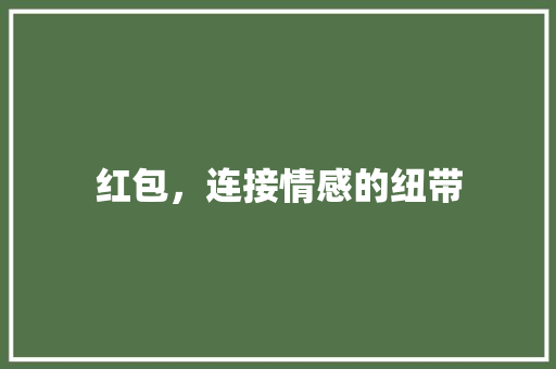 红包，连接情感的纽带