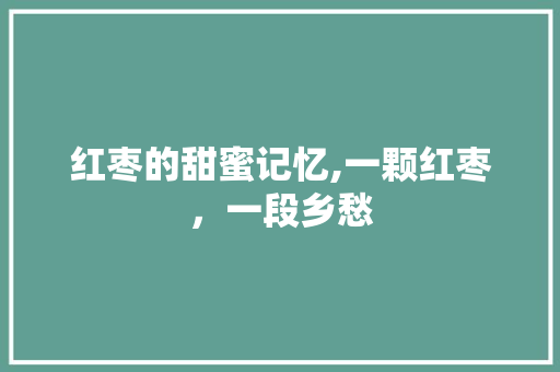 红枣的甜蜜记忆,一颗红枣，一段乡愁