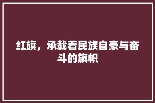 红旗，承载着民族自豪与奋斗的旗帜