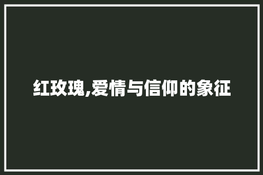 红玫瑰,爱情与信仰的象征