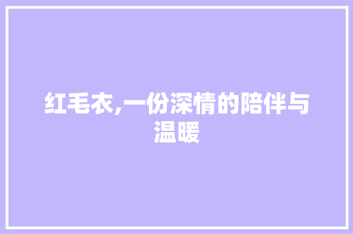 红毛衣,一份深情的陪伴与温暖