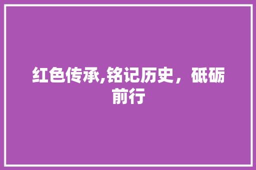 红色传承,铭记历史，砥砺前行