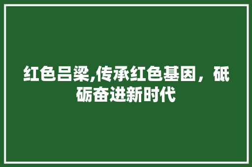 红色吕梁,传承红色基因，砥砺奋进新时代