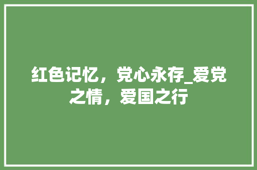 红色记忆，党心永存_爱党之情，爱国之行 报告范文