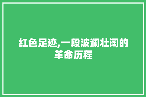 红色足迹,一段波澜壮阔的革命历程