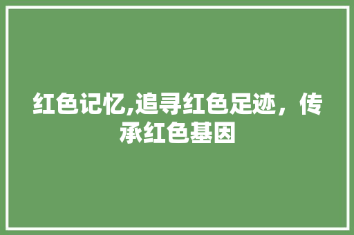 红色记忆,追寻红色足迹，传承红色基因 申请书范文