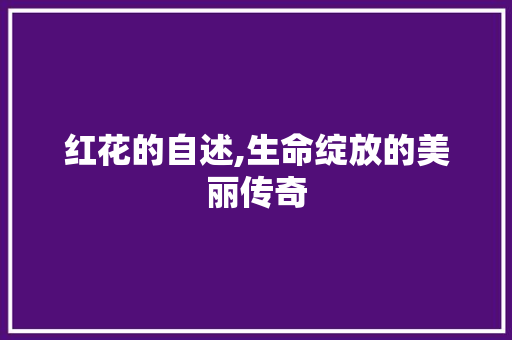 红花的自述,生命绽放的美丽传奇