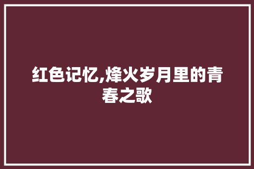 红色记忆,烽火岁月里的青春之歌