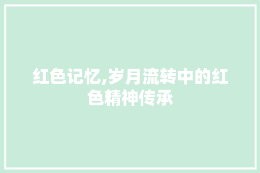 红色记忆,岁月流转中的红色精神传承