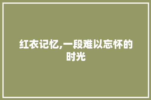 红衣记忆,一段难以忘怀的时光