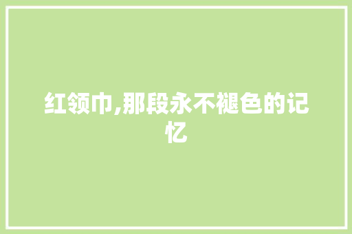 红领巾,那段永不褪色的记忆