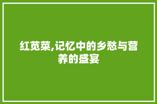 红苋菜,记忆中的乡愁与营养的盛宴 工作总结范文