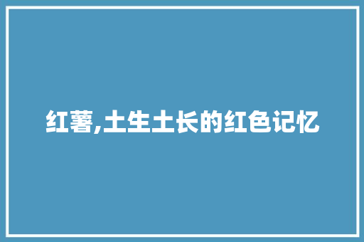 红薯,土生土长的红色记忆