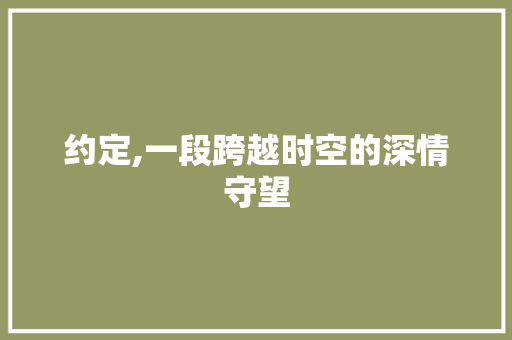 约定,一段跨越时空的深情守望 简历范文