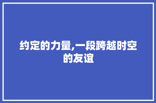 约定的力量,一段跨越时空的友谊