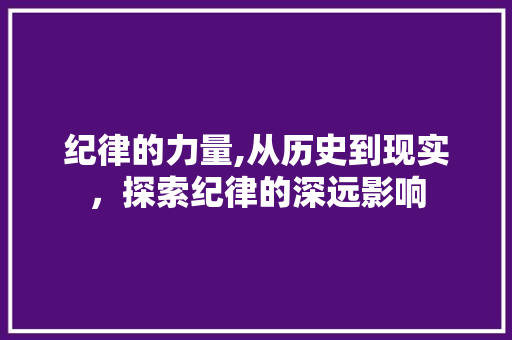 纪律的力量,从历史到现实，探索纪律的深远影响 综述范文