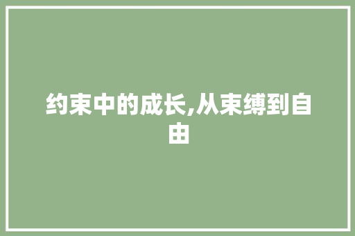 约束中的成长,从束缚到自由