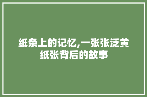 纸条上的记忆,一张张泛黄纸张背后的故事