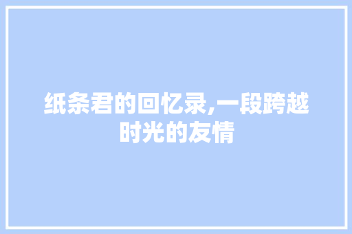 纸条君的回忆录,一段跨越时光的友情