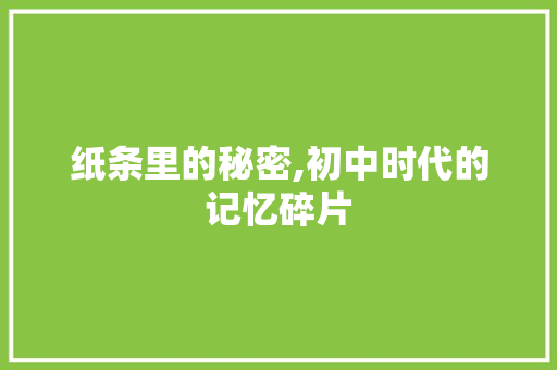 纸条里的秘密,初中时代的记忆碎片