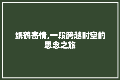 纸鹤寄情,一段跨越时空的思念之旅